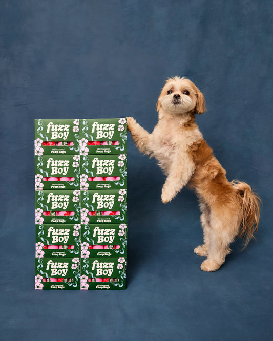 Maltese/shihtzu mix leaning on a stack of green Fuzzboy poop bag boxes.