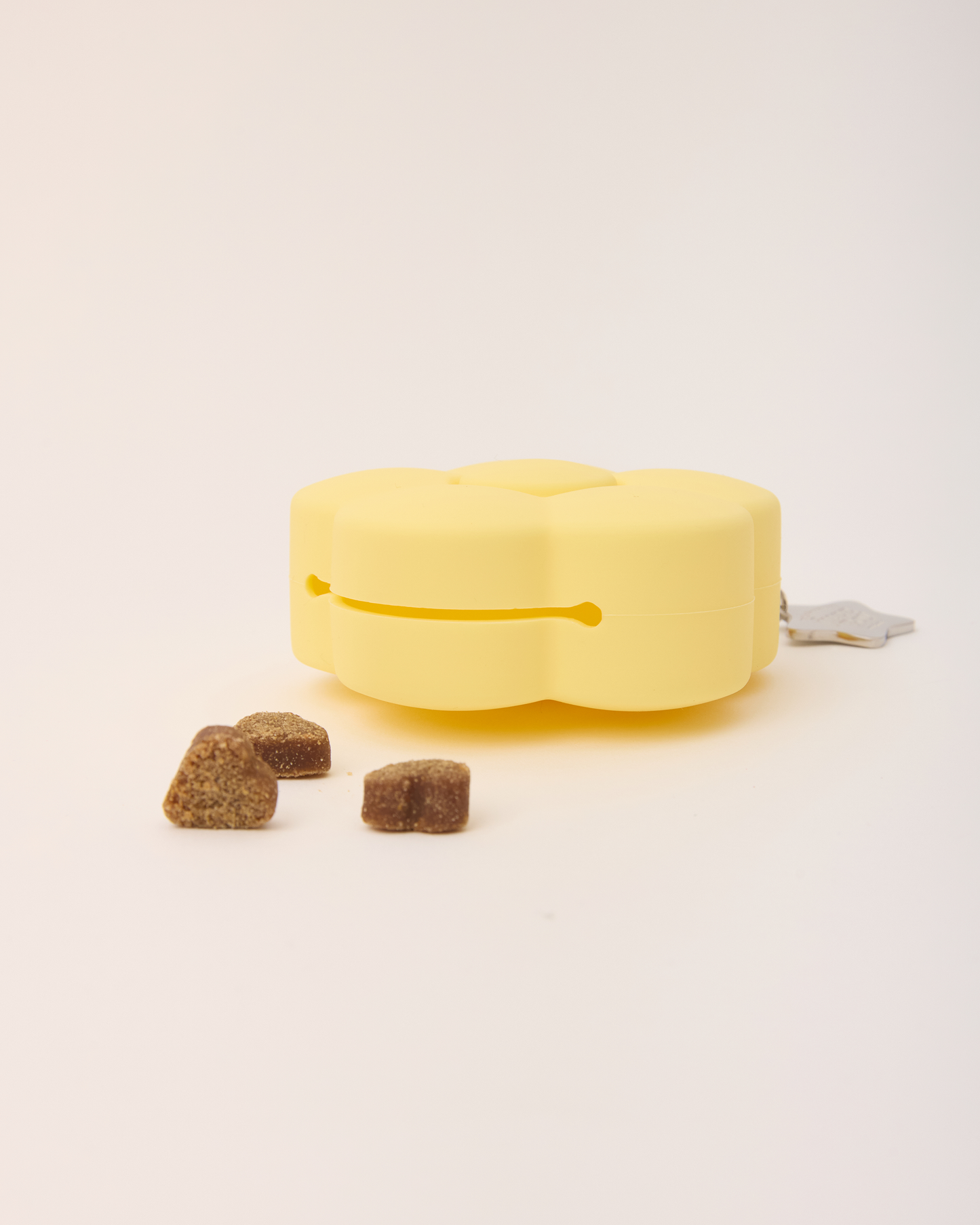 Fuzzboy Originals – Silicone Flower Dog Treat Pouch Keychain – Yellow