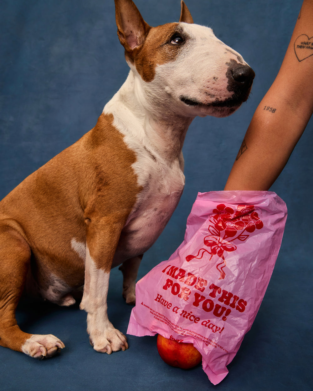 Fuzzboy Originals – Black Friday Bundle – Black Walking Bag